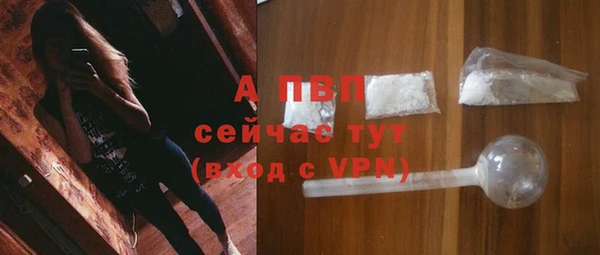 кокс Дмитриев