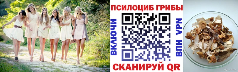 наркотики  Керчь  Псилоцибиновые грибы прущие грибы 